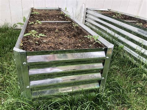 raised metal garden bed